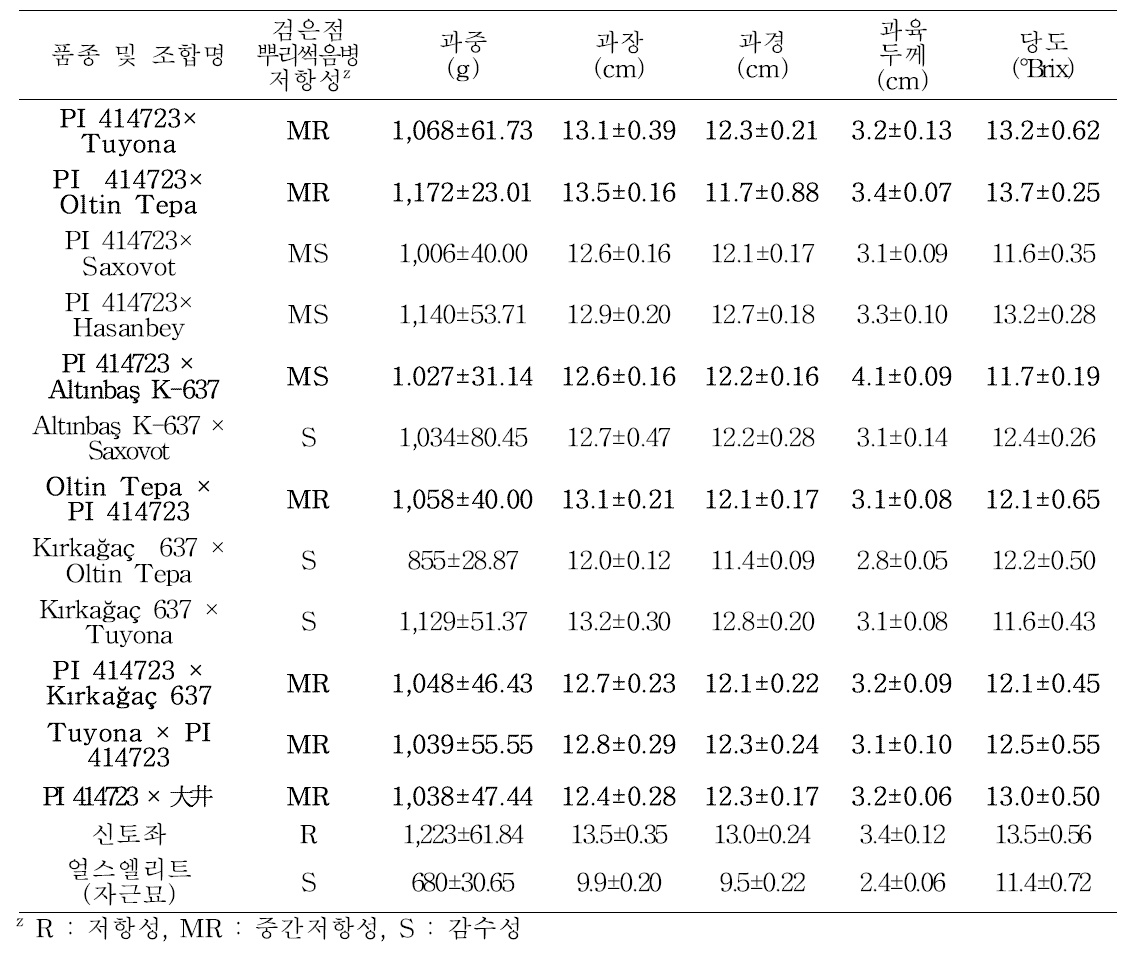 대목 종류에 따른 네트 멜론의 과실 특성(추계)