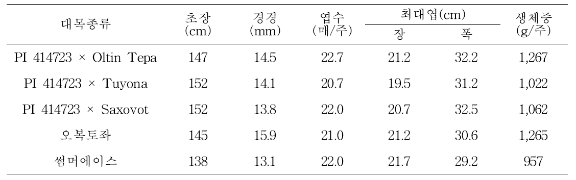 대목종류별 멜론 수확기 생육상황(8. 21 조사)