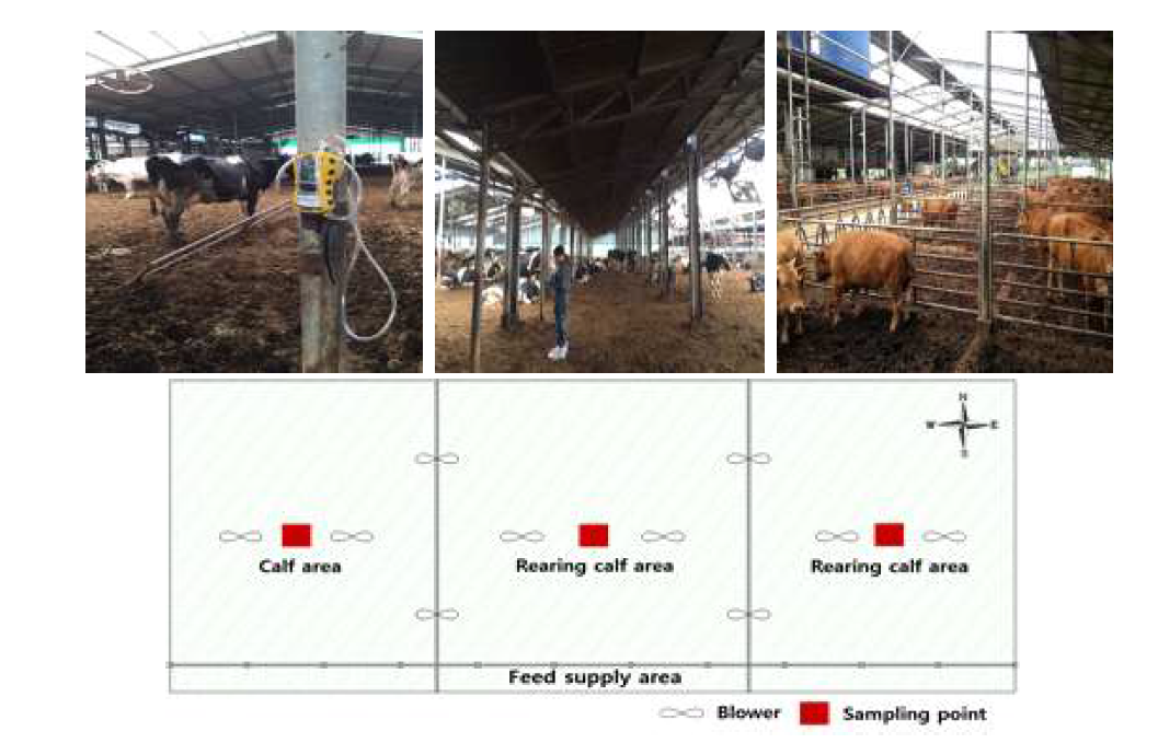 젖소 및 한우 농가 내 유해가스 측정(위) 및 한우사 내 측정 장소 구분(아래)