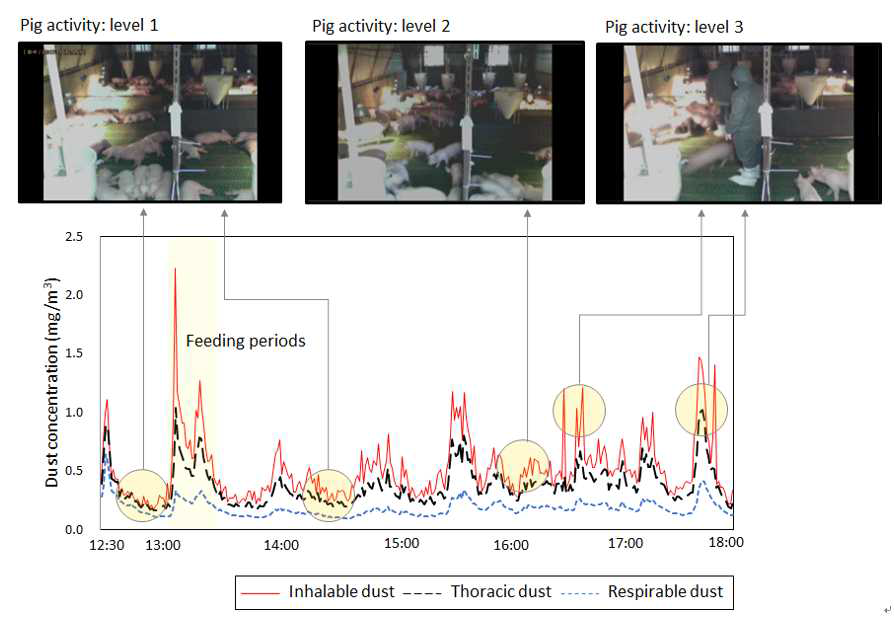 실험 자돈사 내 돼지 활동성에 따른 실시간 분진 입경별 농도 변화 추이