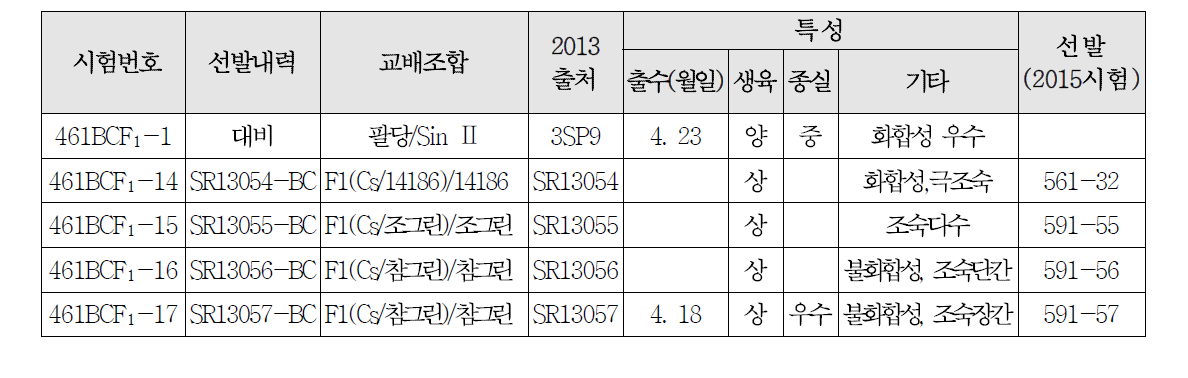 여교잡세대 계통의 선발계통의 특성.