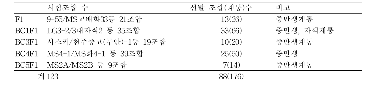 웅성불임계 및 유지계모구 선발 내역(2012)