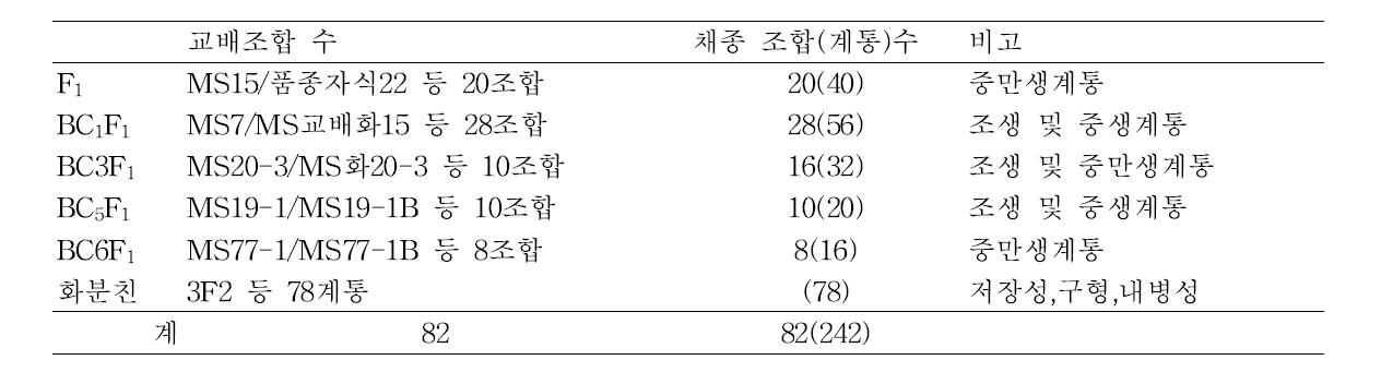 웅성불임유지계통 육성 및 고정계통육성을 위한 인공교배 및 채종 내역(2013)