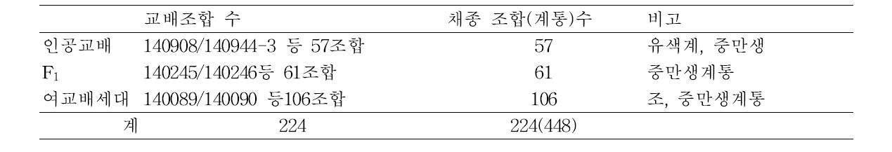 웅성불임유지계통 육성 및 고정계통육성을 위한 인공교배 및 채종 내역(2016)