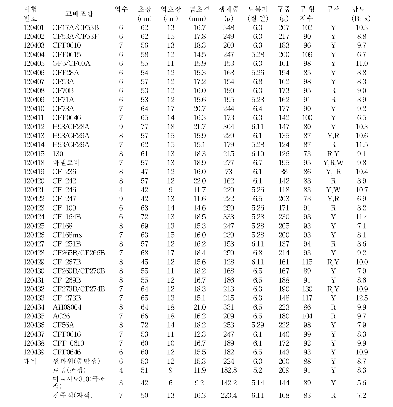 종간교잡 양파 여교잡 계통생육 및 수량특성