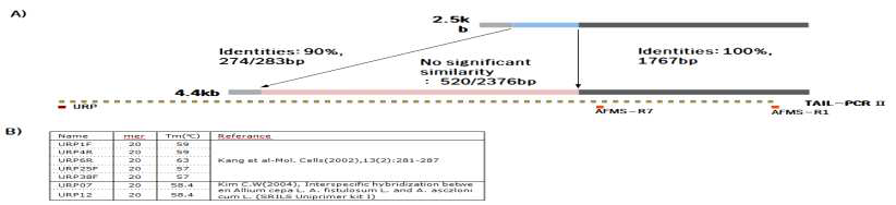 Universal Rice Primer(URP)를 이용한 Genome walking. TAIL-PCR 모식도(A)와 사용된 URP primers(B).