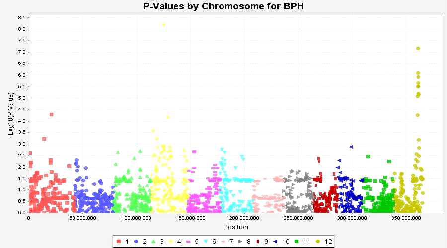 Manhattan plots of genome wide association mapping for BPH using TASSEL (MLM)