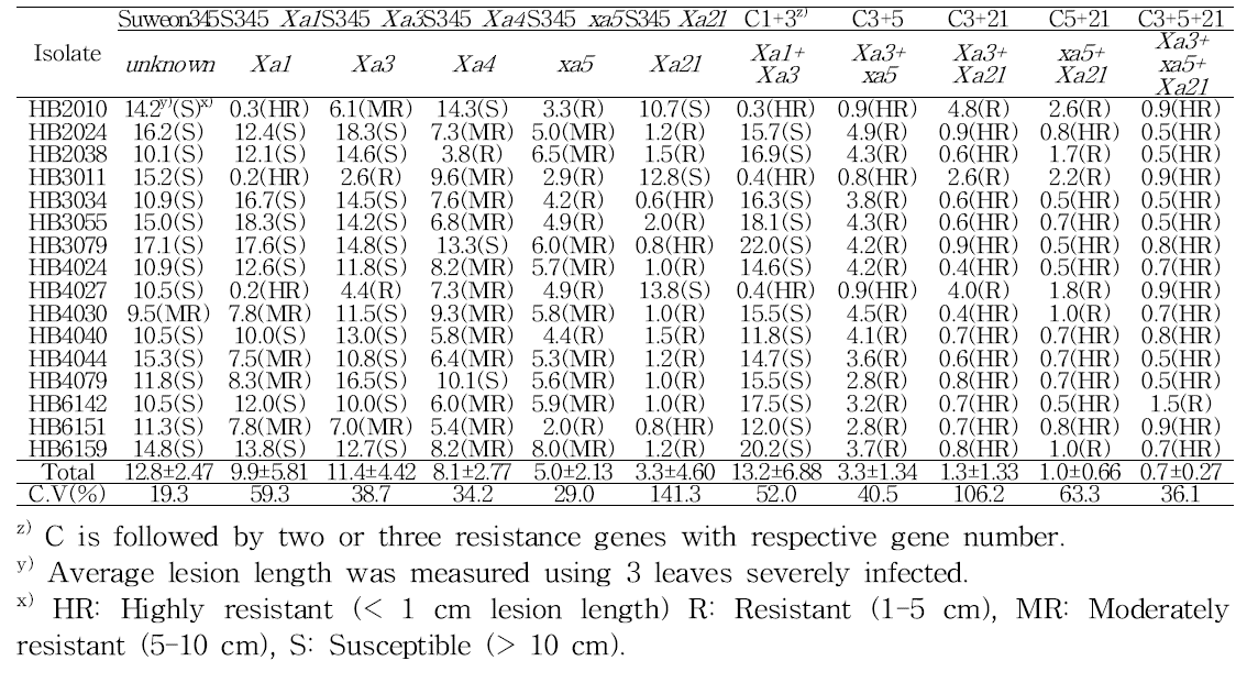 국내 수집 16개 벼흰잎마름병 균주에 대한 자포니카 단일 저항성유전자 및 유전자 집적 계통의 저항성 반응