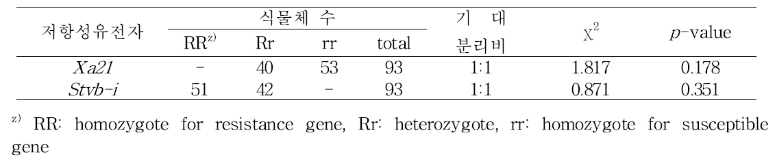 분자표지 이용 유전자형 분리비(‘14/’15 동계)