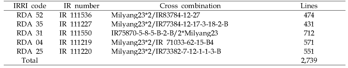 BC1F3 progenies derived from 5 donors in Milyang23 background