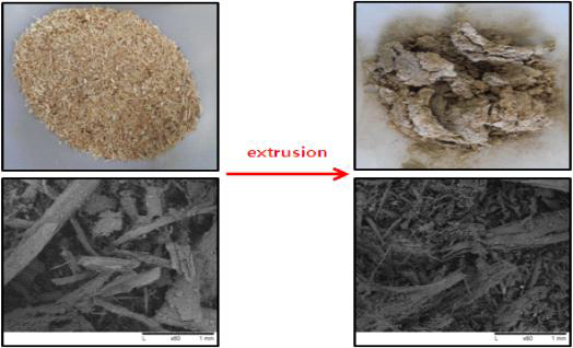 Extruder 통과 전후 시료의 입자구조 변화(SEM)