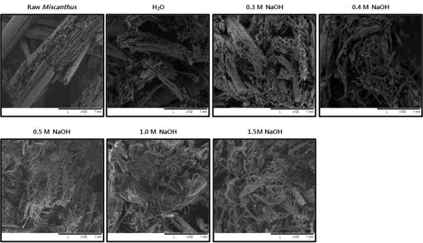 NaOH 용매 농도별 전처리물의 형태적 특성비교