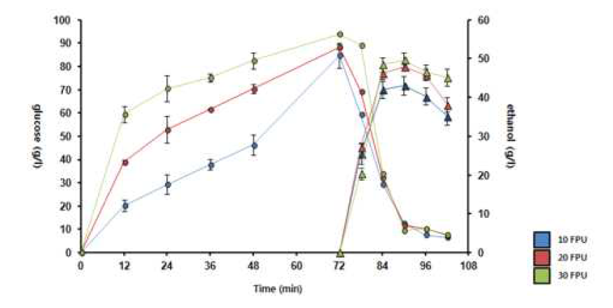 0.5 M NaOH 처리 고형분 (10% glucan 기준)의 효소농도별 발효율 비교