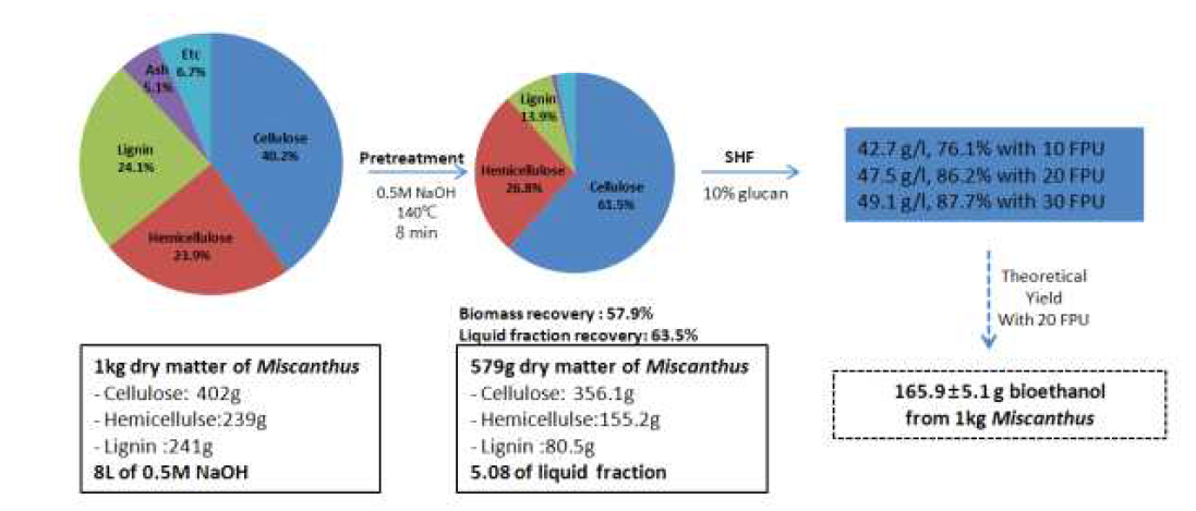 Mass balance analysis