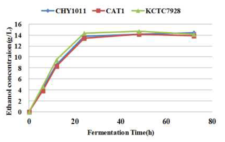 발효시간에 따른 균주별 에탄올 생산량 변화