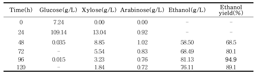 당 농도 및 에탄올 농도 그리고 발효율