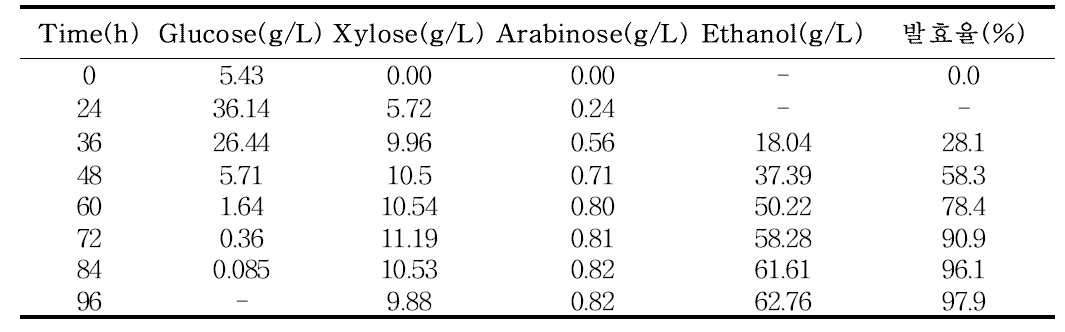 최적 SHF 조건에서 당, 에탄올 농도 및 발효율