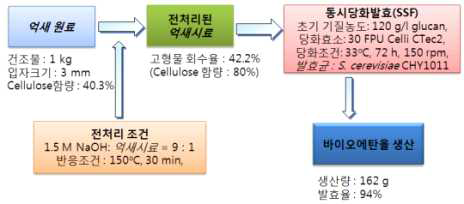 억새 1 kg 기준의 에탄올 생산 물질수지