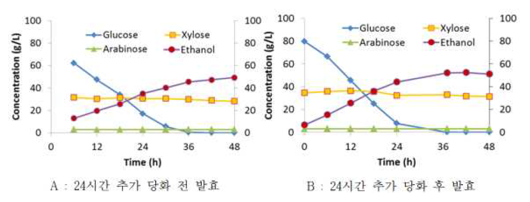 시간에 따른 총기질(TS)공급량 및 glucose 전환 농도