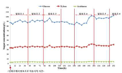 당화조내 시간대별 당농도 분석 결과