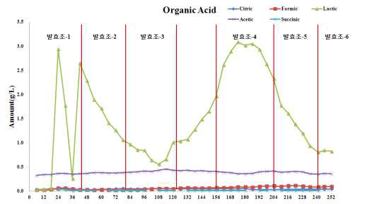 당화과정의 유기산 농도 변화