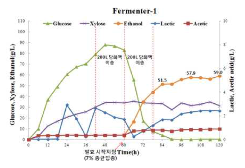파일럿 규모의 당화발효율 검정 및 유기산 분석 결과(Fermenter-1)