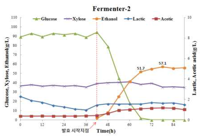 파일럿 규모의 당화발효율 검정 및 유기산 분석 결과(Fermenter-2)