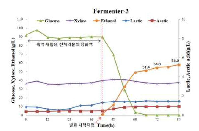 파일럿 규모의 당화발효율 검정 및 유기산 분석 결과(Fermenter-3)