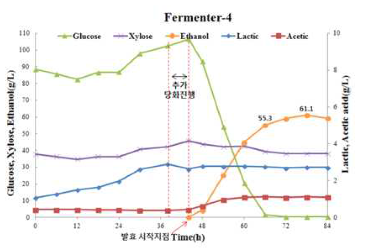 파일럿 규모의 당화발효율 검정 및 유기산 분석 결과(Fermenter-4)