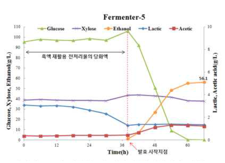 파일럿 규모의 당화발효율 검정 및 유기산 분석 결과(Fermenter-5)