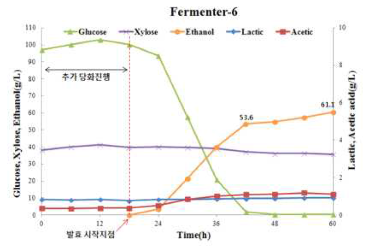 파일럿 규모의 당화발효율 검정 및 유기산 분석 결과(Fermenter-6)