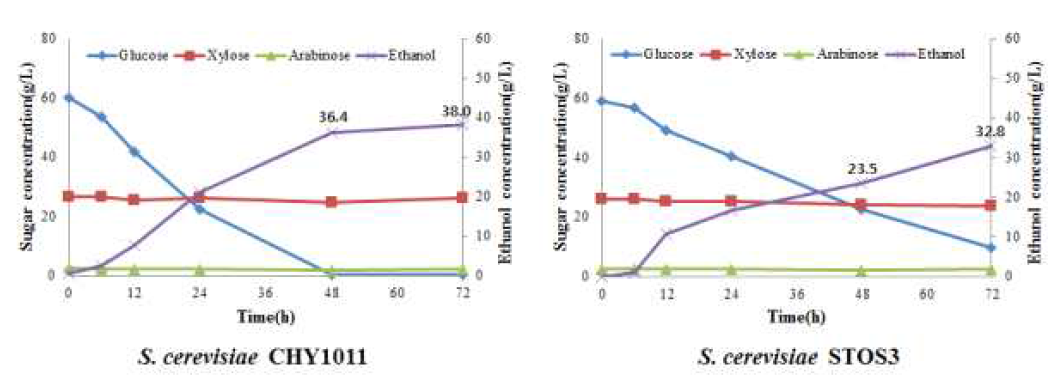 질소원 없는 당화액 배지 이용한 균주별 발효율 비교