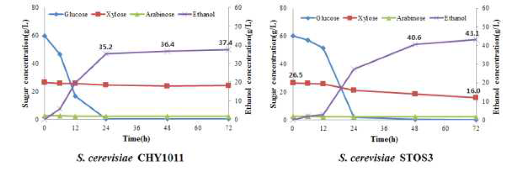 질소원(YP 각 1%)와 당화액 배지 이용한 균주별 발효율 비교