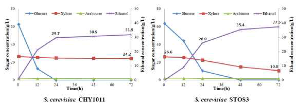 질소원(YP 1%, 2%)와 당화액 배지 이용한 균주별 발효율 비교