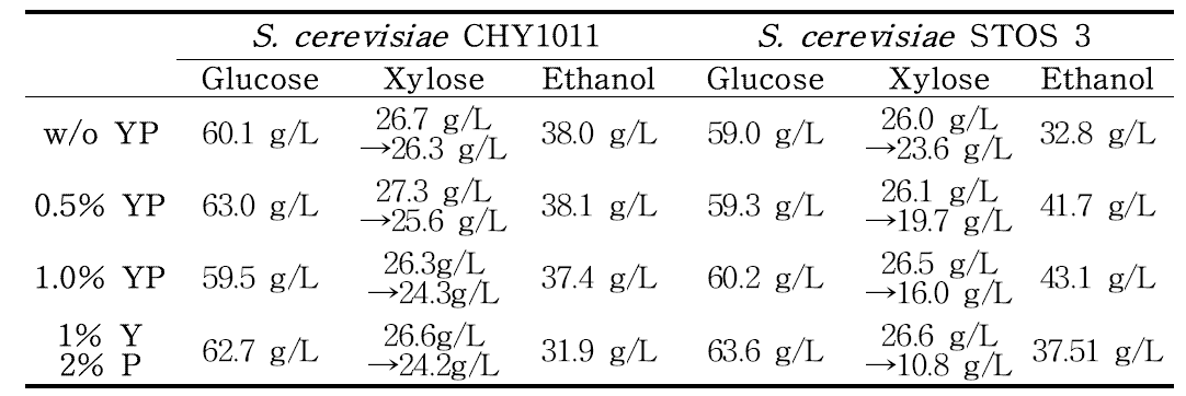 파일럿규모에서 균주별 YP 농도별 당화발효율 검정