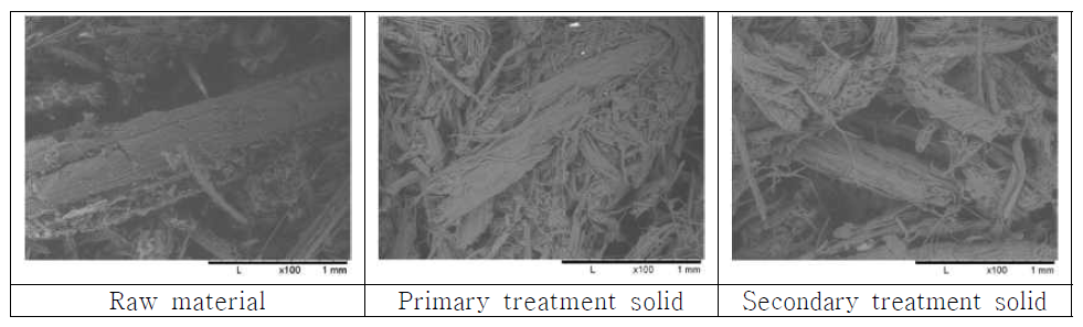 억새 원료와 1차 전처리물, 2차 전처리물의 SEM 측정