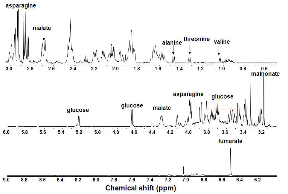 엉겅퀴 잎 (1차 시료) D2O 추출물의 NMR spectrum (1차)