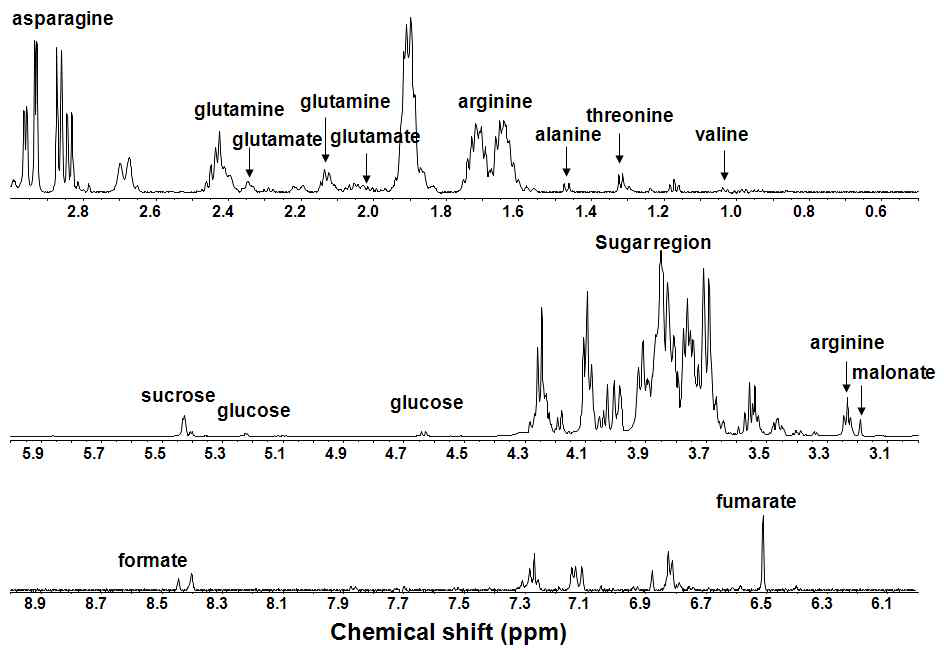 엉겅퀴 뿌리 (1차 시료) D2O 추출물의 NMR spectrum