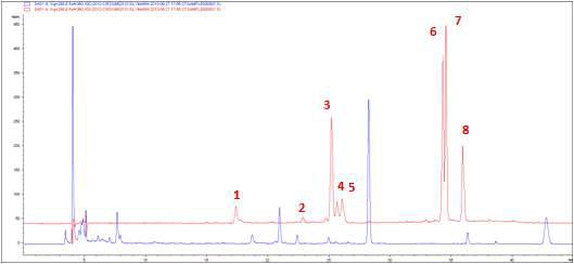 엉겅퀴 잎 추출물의 RRLC Chromatogram (red=standard, blue=extract)