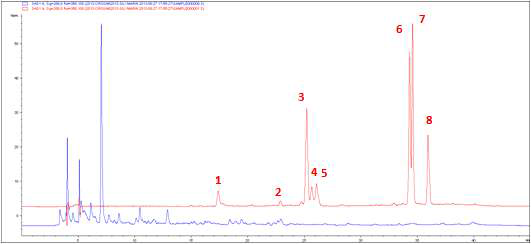 엉겅퀴 뿌리 추출물의 RRLC Chromatogram (red=standard, blue=extract)