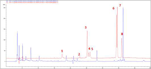 엉겅퀴 꽃 추출물의 RRLC Chromatogram (red=standard, blue=extract)