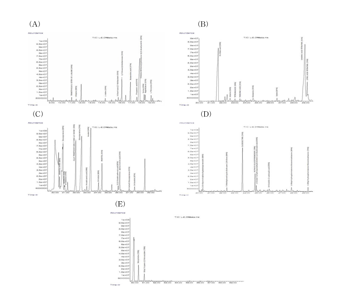 엉겅퀴 잎 추출물의 GC-MS 부분 Chromatogram (A: 9-20 min, B: 20-30 min, C: 30-40, D: 40-49 min), E: 49-60 min
