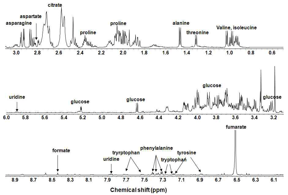 고려엉겅퀴잎 (1차시료) D2O 추출물의 NMR spectrum