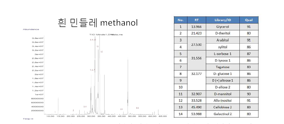 GC-MS를 이용한 흰민들레 MeOH 추출물의 대사산물 분석