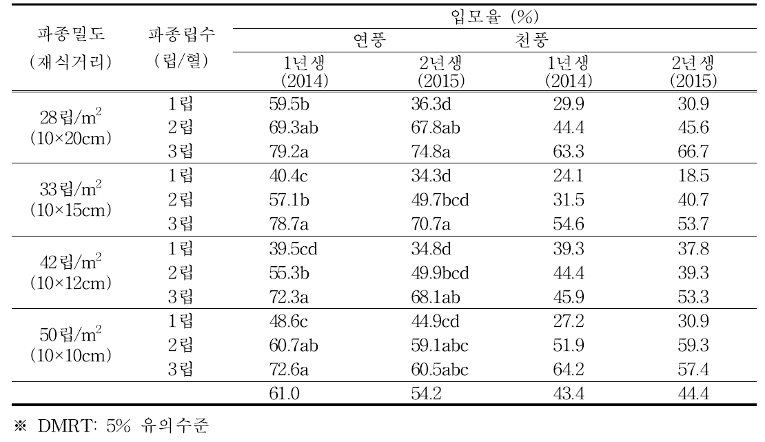 파종밀도 및 파종립수에 따른 품종 2년생 입모율(2015)