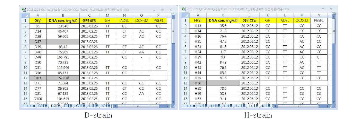 축산원 2계통에서 ADSL, GH, OCX32 및 PBEF1 유전자의 SNP type