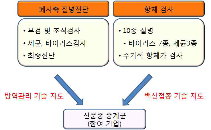 폐사축 질병진단 및 항체 검사를 통한 방역관리 기술지도 절차