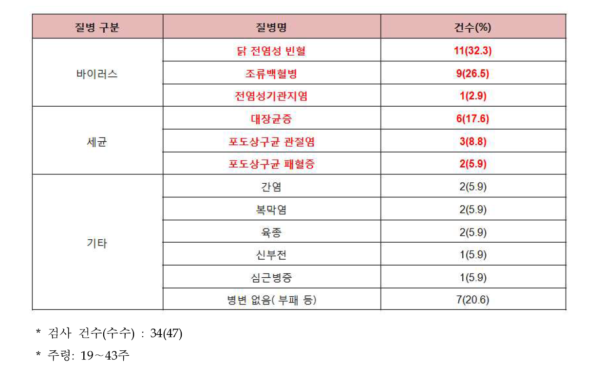 종계군(PL) 폐사축 진단 결과