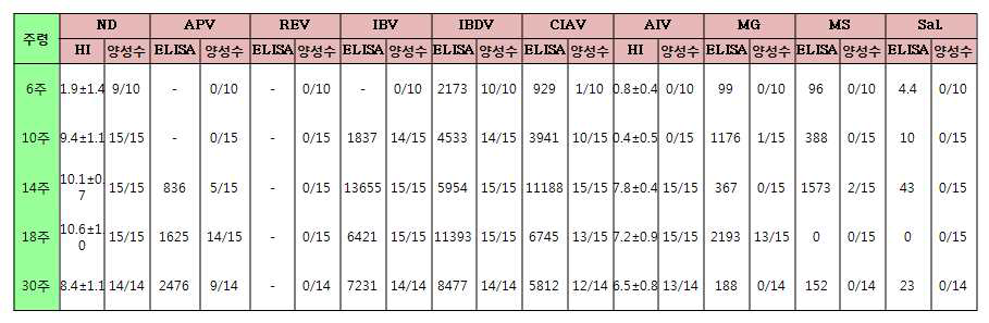 후보 종계군 항체 검사(계군명: 1W)