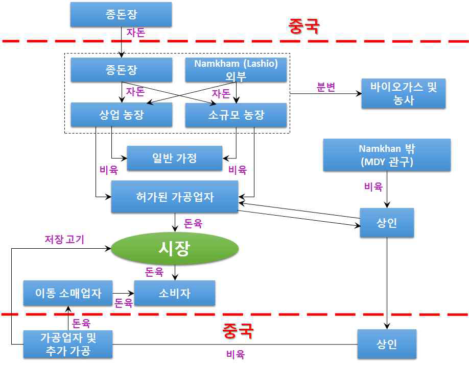 중국과 미얀마 국경 간 돼지 공급 체인(Namkham 지역)